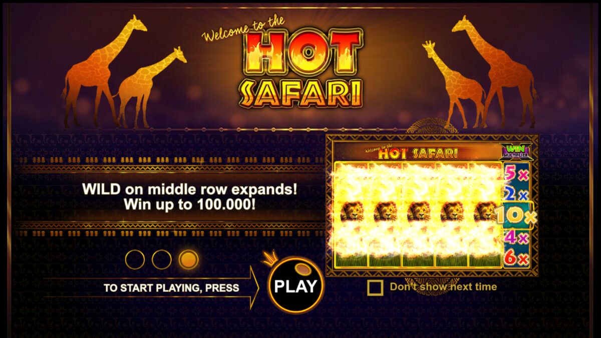 Hot Safari - screenshot with slot description 2
